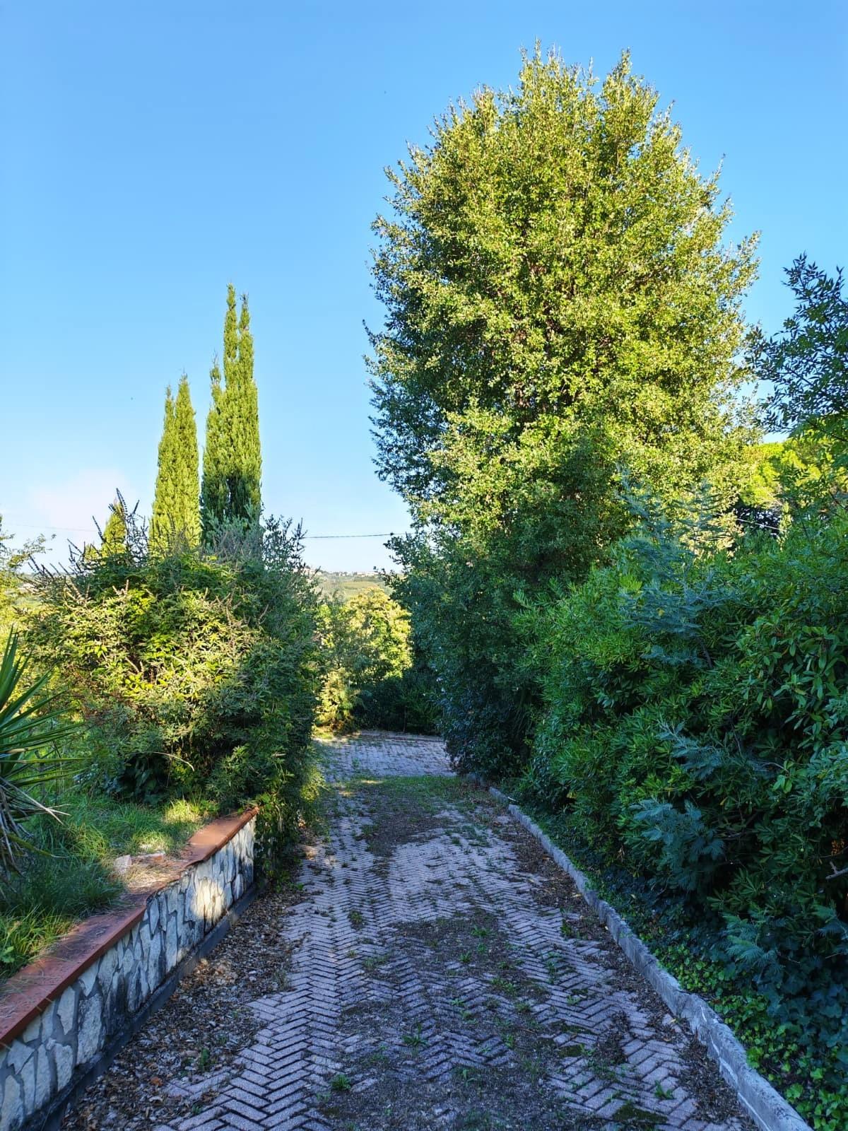 Villa - Casciana Terme Lari (36/37)