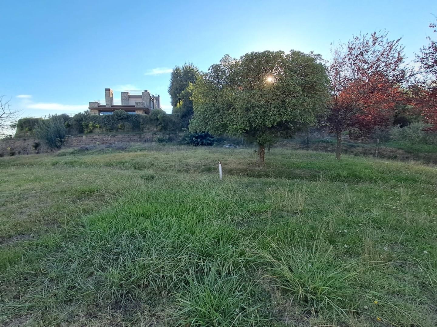 Villa - Santa Maria a Monte (5/80)