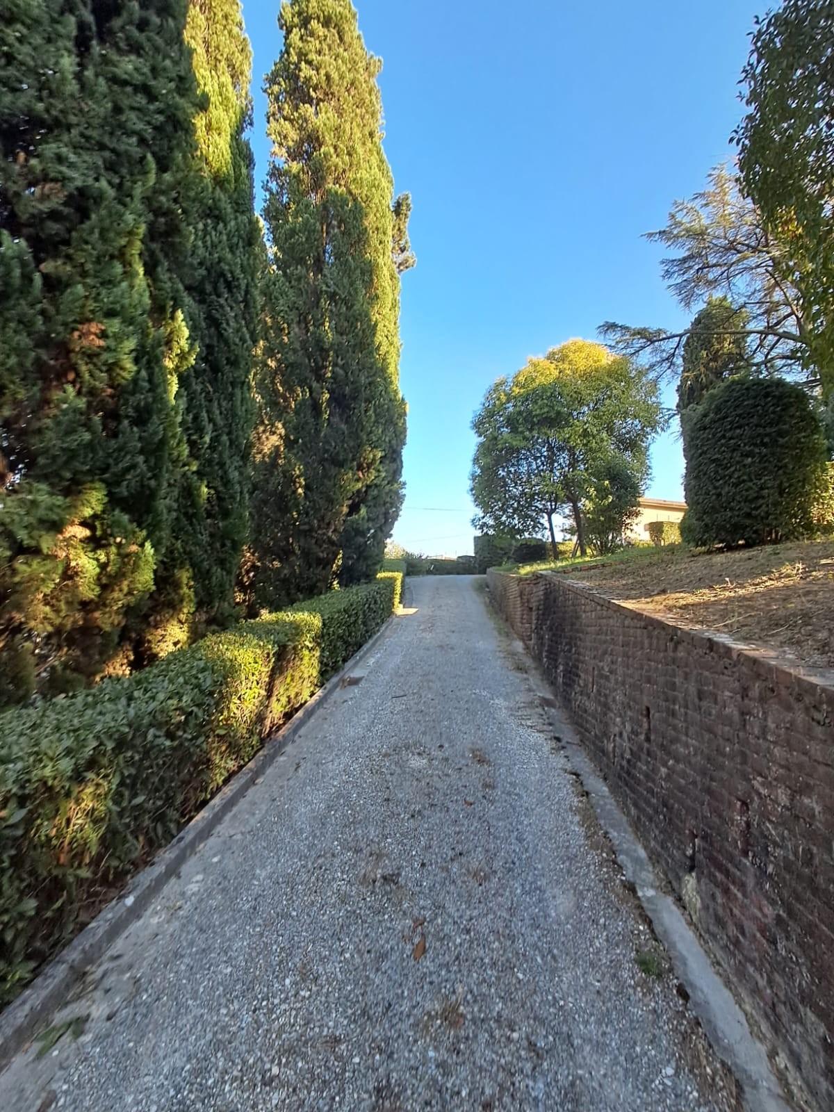 Villa - Santa Maria a Monte (23/80)
