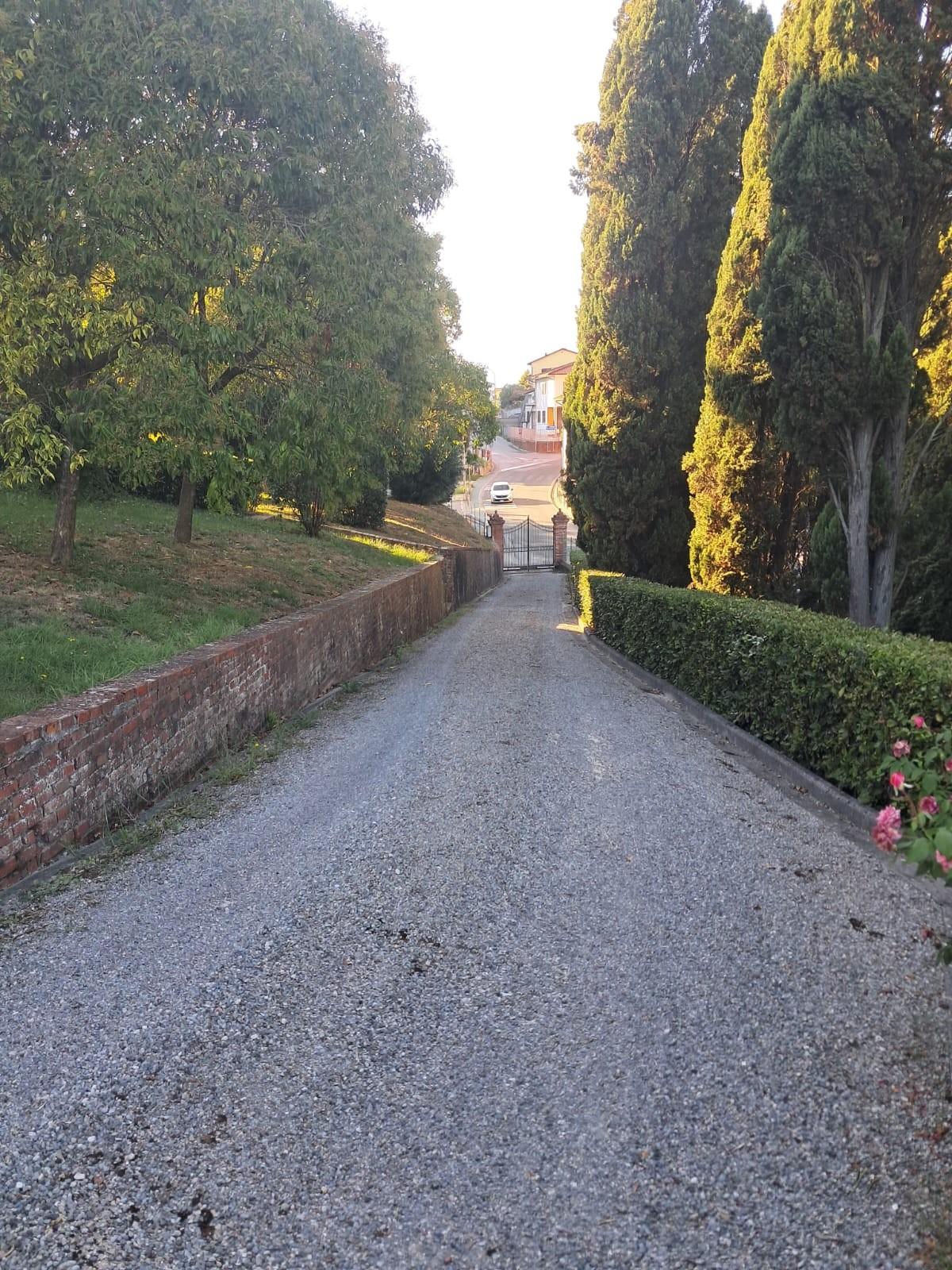 Villa - Santa Maria a Monte (24/80)