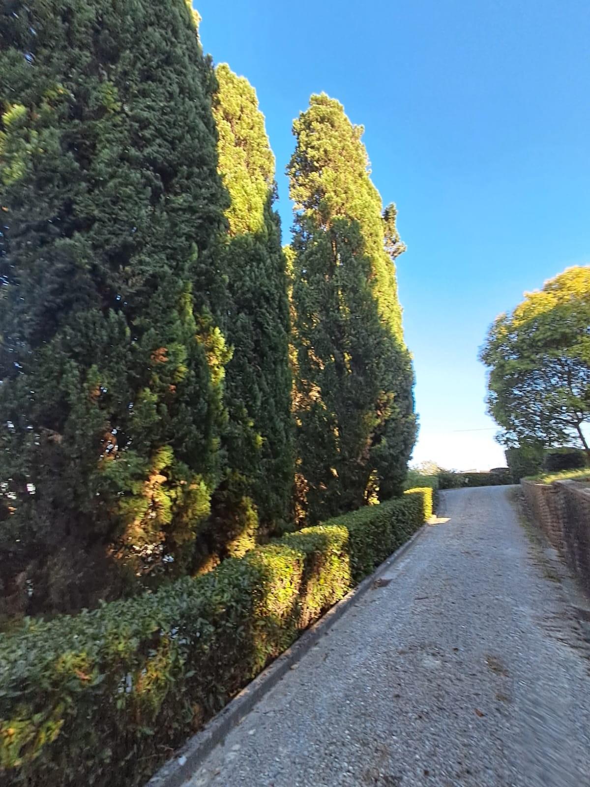 Villa - Santa Maria a Monte (2/80)