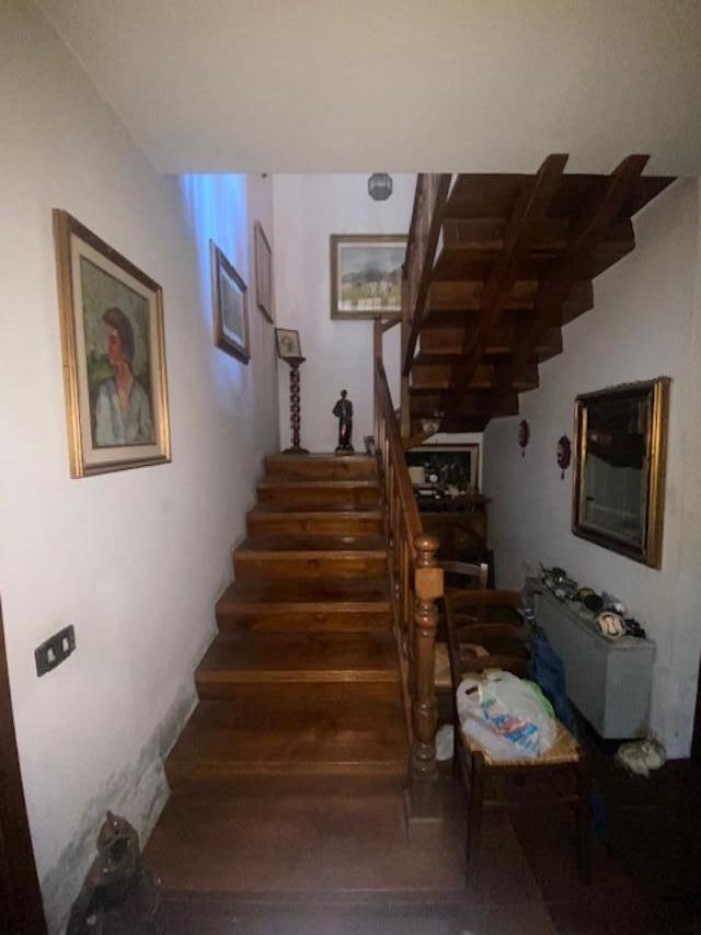 Villa - Lucca (9/10)