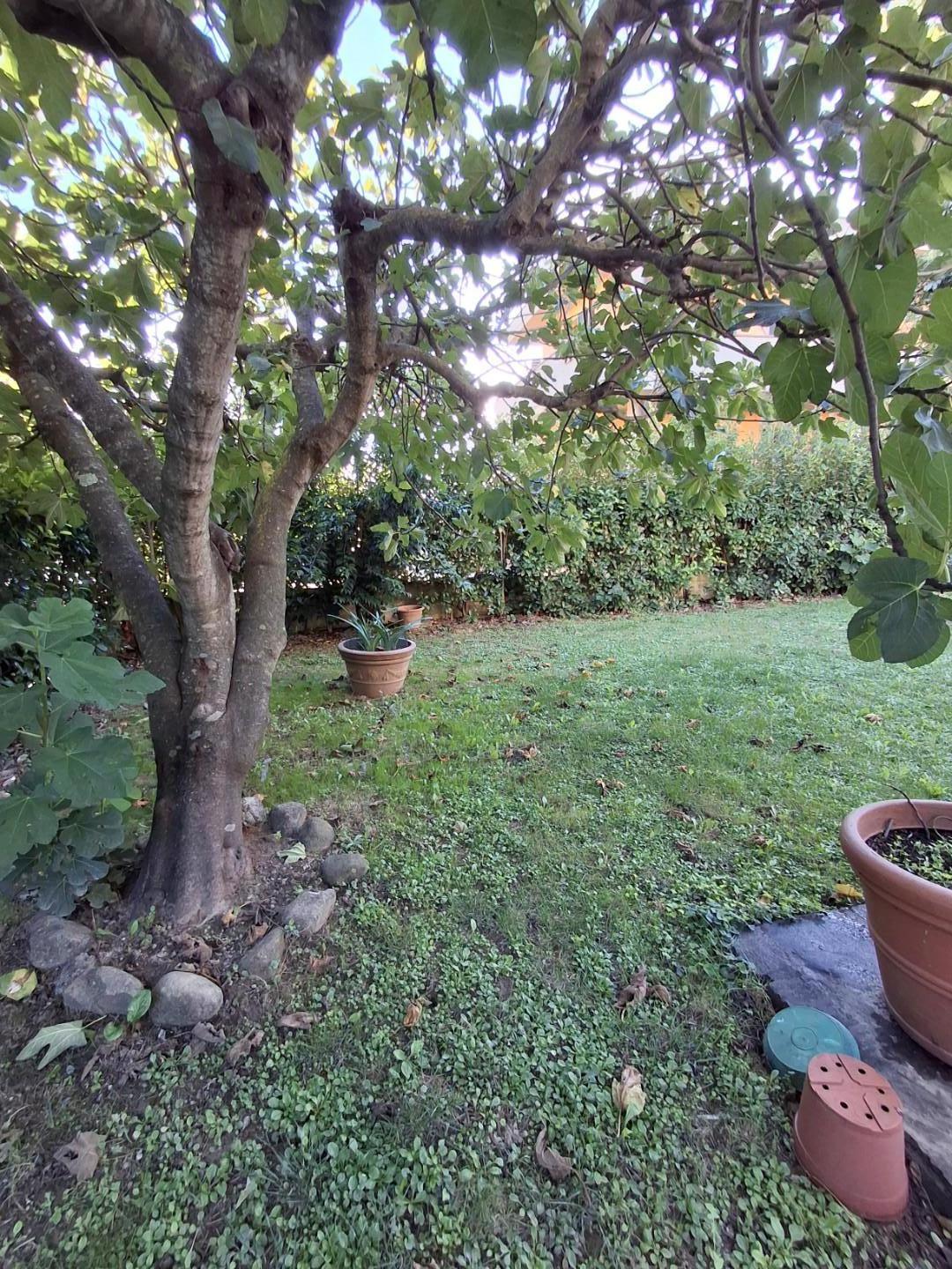 Villa - Capraia e Limite (22/44)