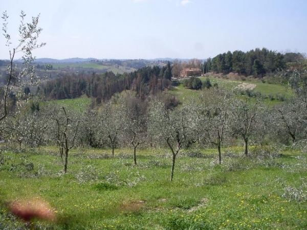 Terreno agricolo in vendita a Calenzano - San Miniato