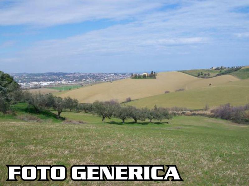 Terreno agricolo in vendita a San Miniato