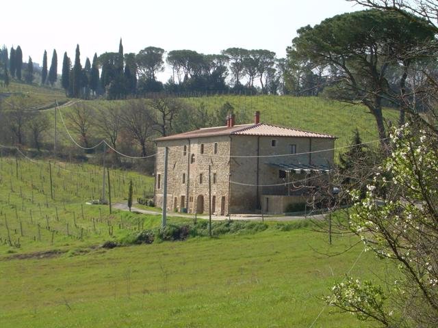 Azienda agricola in vendita a Pisa