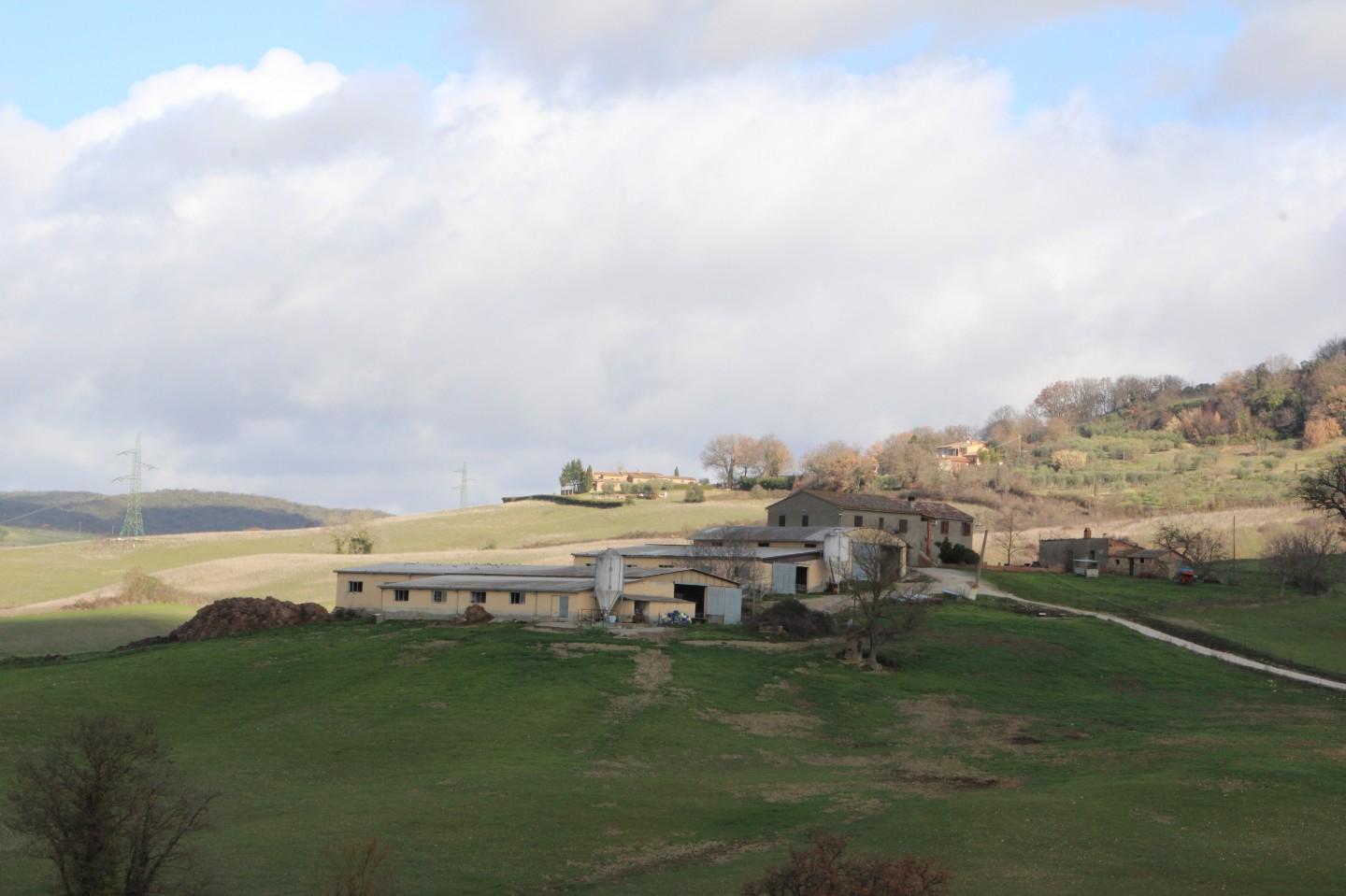 Azienda agricola in vendita a Casole d'Elsa (SI)