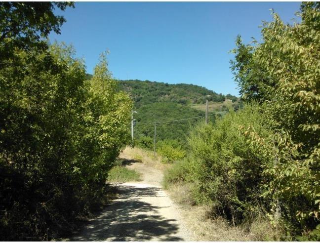 Agricultural plot for sale in Chianni (PI)