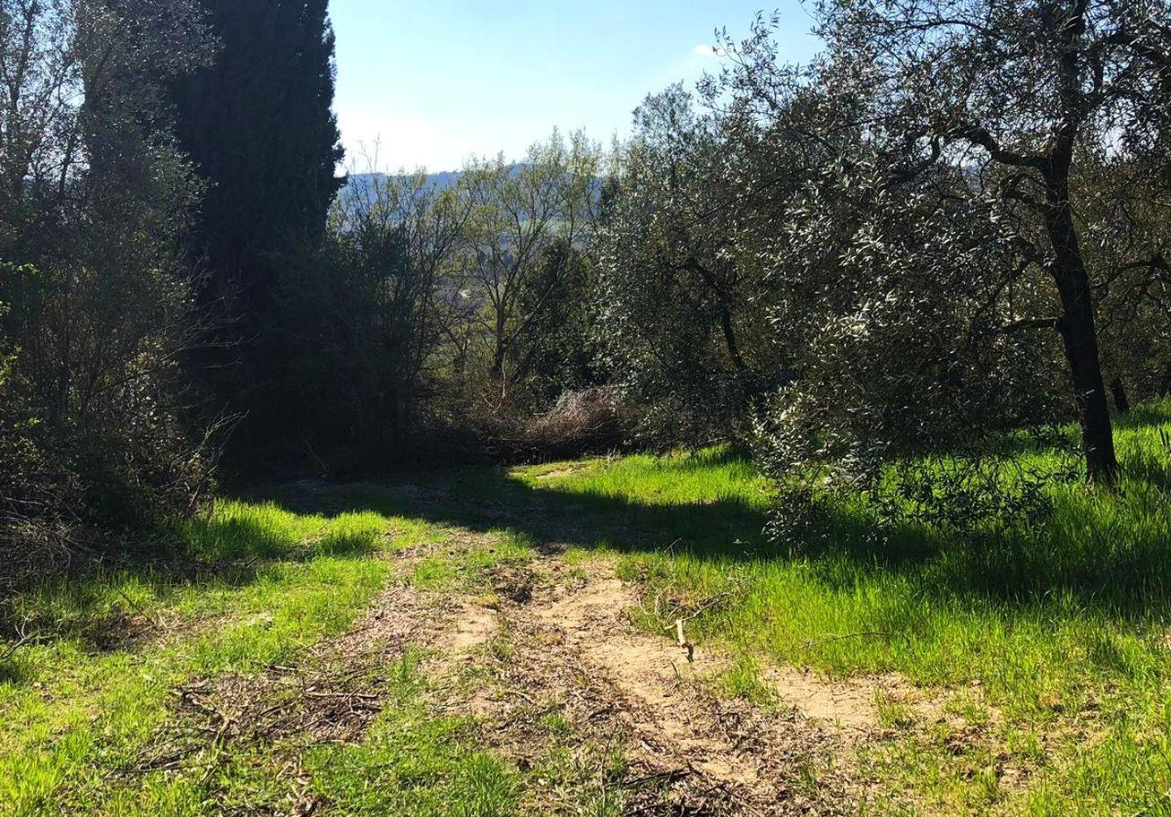 Agricultural plot for sale in Empoli (FI)