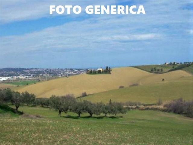 Terreno agricolo in vendita a San Miniato (PI)