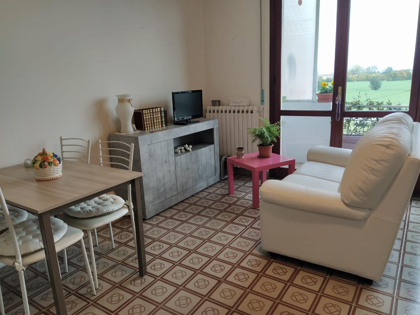 Appartamento in affitto a Ponsacco (PI)