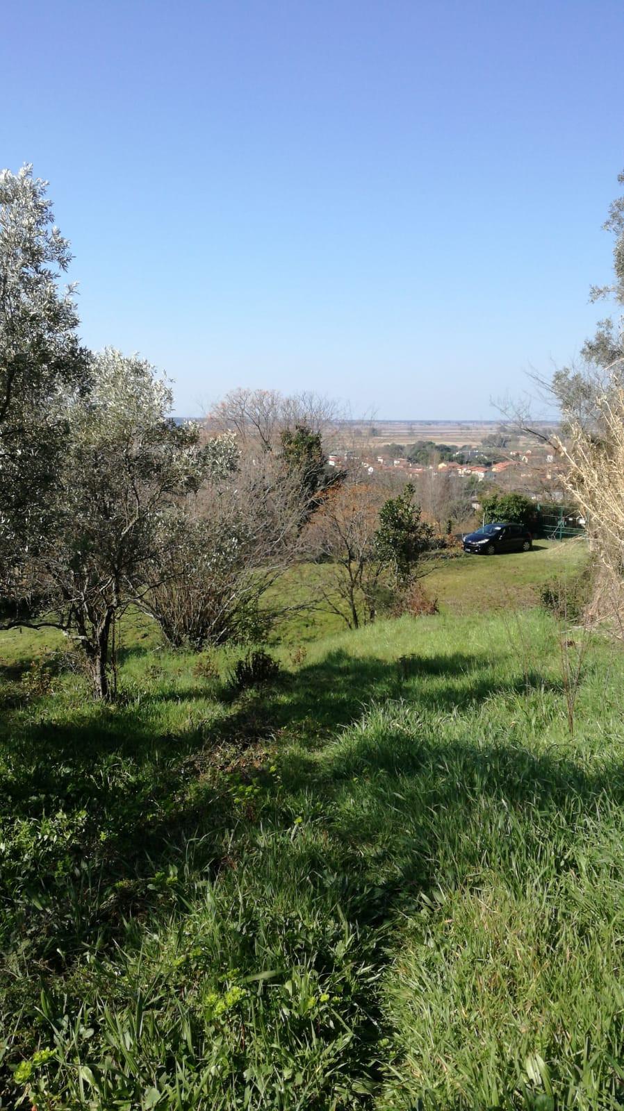 Villa in vendita - Bozzano, Massarosa