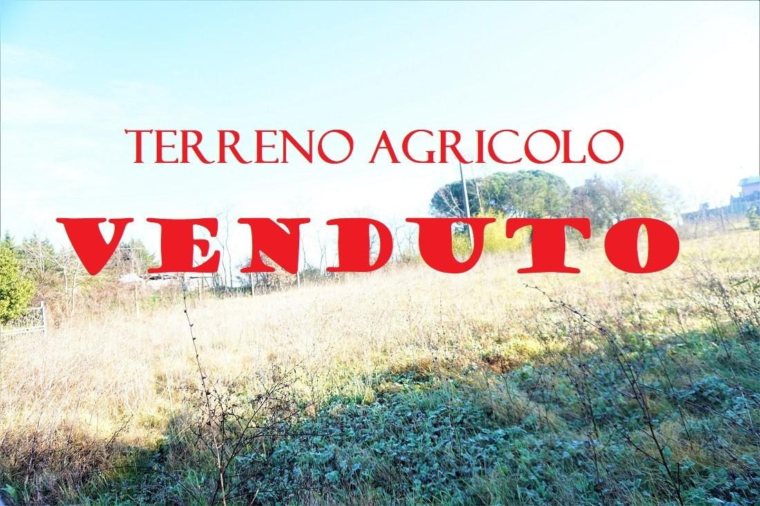 Terreno agricolo in vendita a Pontedera (PI)