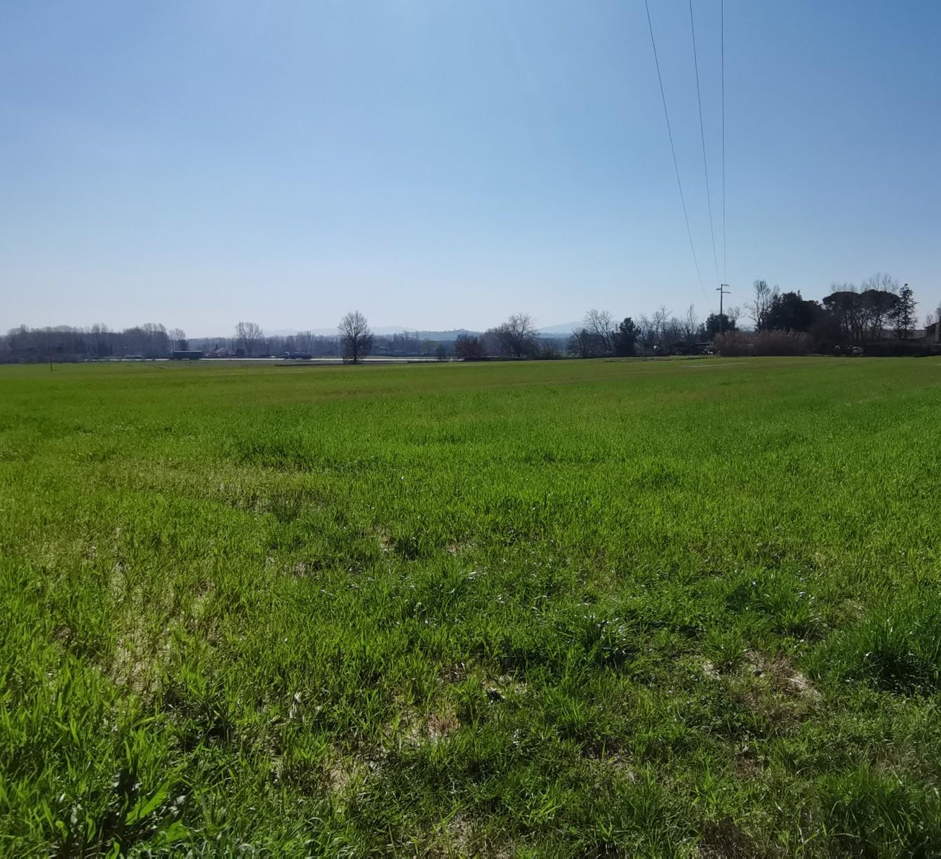 Terreno edificabile in vendita a I Fabbri, Pontedera (PI)