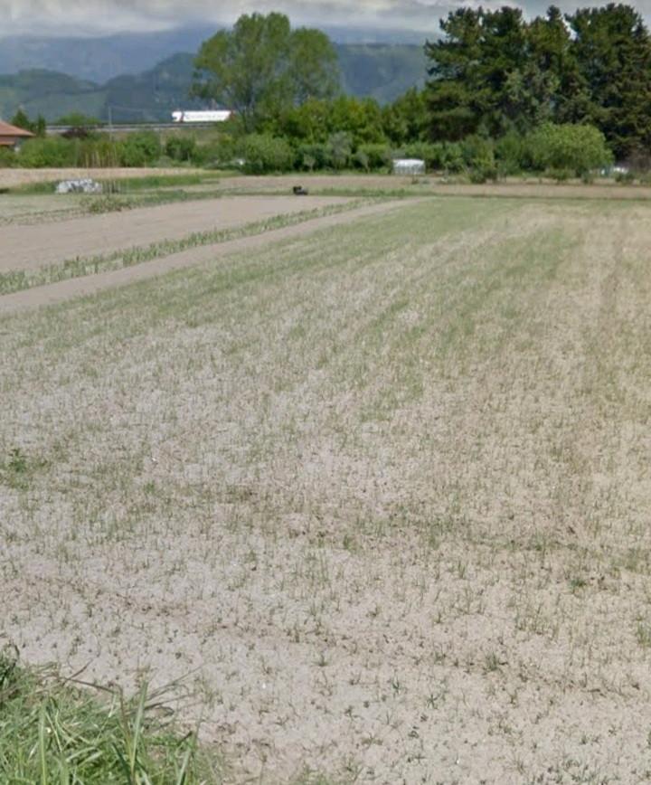 Terreno agricolo in vendita - Lido Di Camaiore, Camaiore