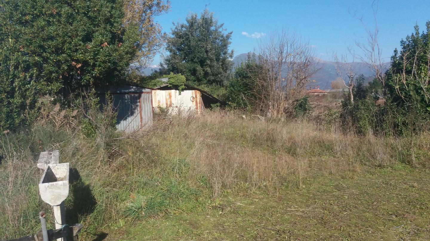Terreno agricolo in vendita a Camaiore (LU)