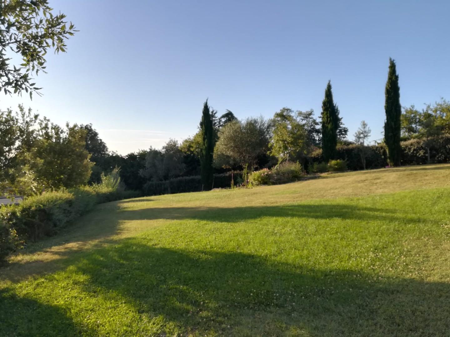 Villa - Montalcino (9/63)