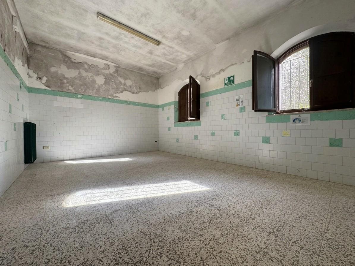 Edificio storico - Fauglia (4/19)