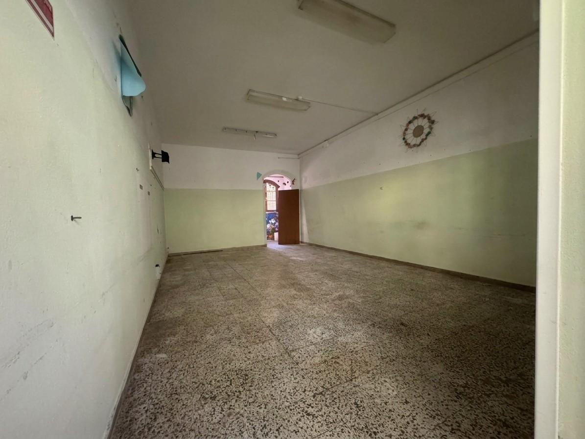 Edificio storico - Fauglia (11/19)