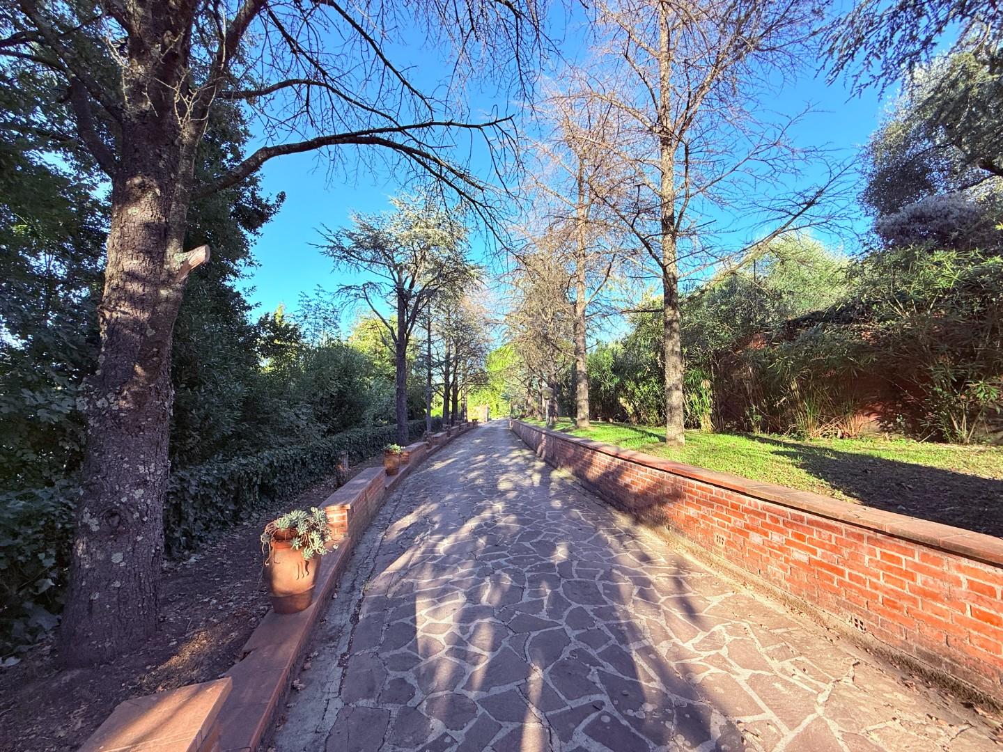 Villa - Santa Maria a Monte (11/32)