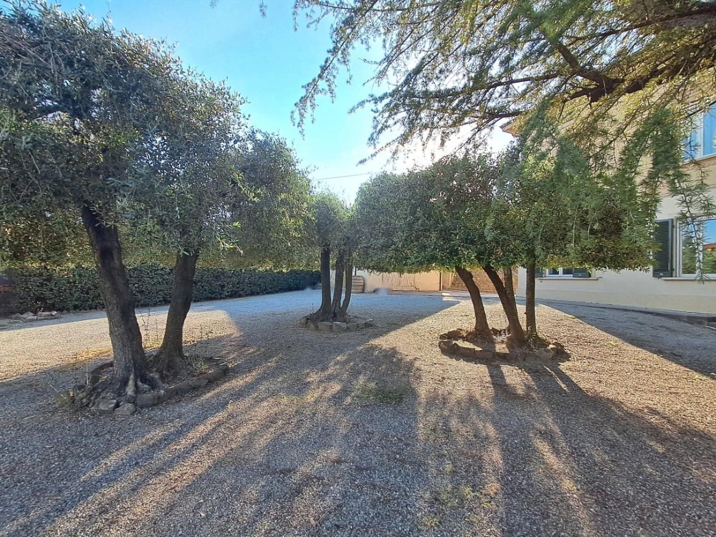Villa - Santa Maria a Monte (20/20)