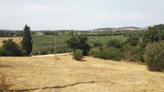 Azienda agricola in vendita a Istia D'ombrone, Grosseto (GR)