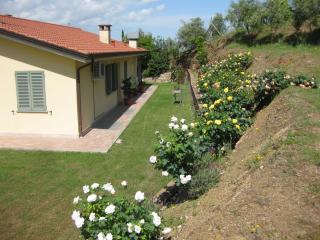 Villa in vendita a Pisa (48/76)