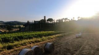 Farm on sale to San Miniato (9/24)