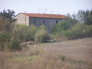 Azienda agricola in vendita a Paganico, Civitella Paganico (GR)