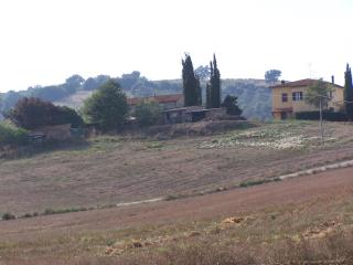 Azienda agricola in vendita a Civitella Paganico (GR)