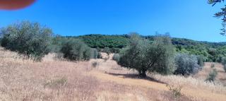 Annesso agricolo in vendita a Semproniano (GR)