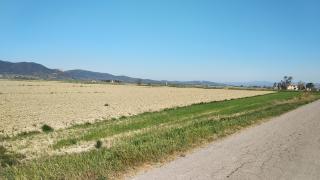 Terreno edificabile in vendita a Barbaruta, Grosseto (GR)