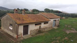 Azienda agricola in vendita a Roselle, Grosseto (GR)