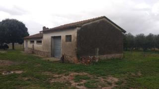 Azienda agricola in vendita a Roselle, Grosseto (GR)