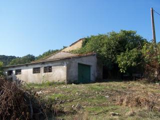 Azienda agricola in vendita a Pancole, Scansano (GR)