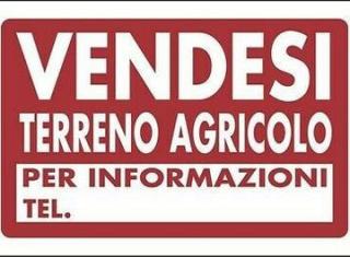 Terreno agricolo in vendita a Navacchio, Cascina (PI)