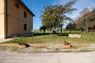 Duplex in vendita a Coltano, Pisa (PI)