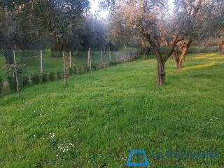 Terreno agricolo in vendita a Monsummano Terme (PT)
