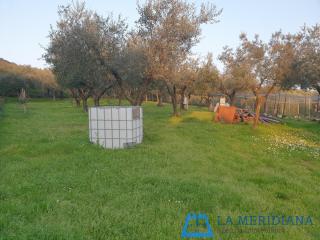 Terreno agricolo in vendita a Monsummano Terme (PT)
