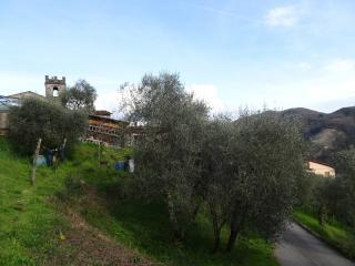 Terratetto in vendita a Villa Roggio, Pescaglia (LU)
