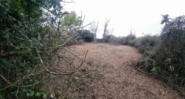 Terreno agricolo in vendita a Porta A Terra, Livorno (LI)
