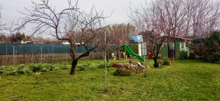 Terreno agricolo in vendita a Livorno (LI)