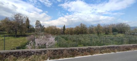 Terreno agricolo in vendita a Presa, Piedimonte Etneo (CT)