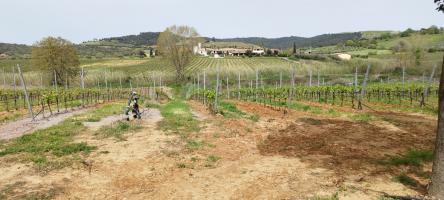 Terreno agricolo in vendita a Magliano In Toscana (GR)
