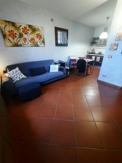 Appartamento in vendita a Seano, Carmignano (PO)