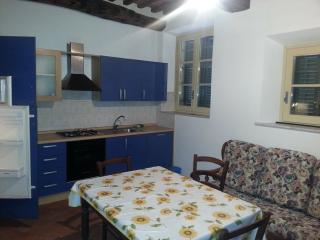Appartamento in affitto a Castelfranco di Sotto