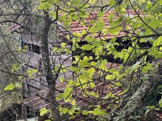 Rustico in vendita a Pietrasanta (LU)