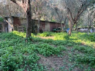 Rustico in vendita a Pietrasanta (LU)