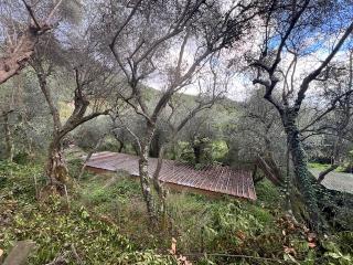 Rustico in vendita a Pietrasanta (LU)