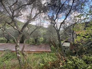 Rustico in vendita a Pietrasanta (LU)